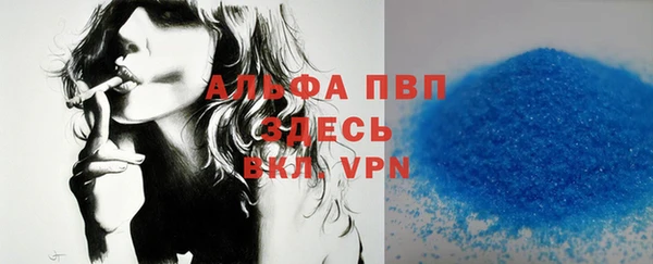 крисы Абаза