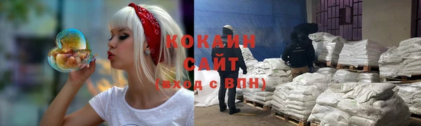 винт Пересвет