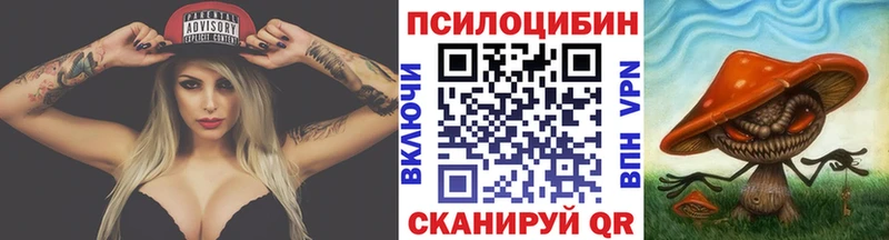 Псилоцибиновые грибы MAGIC MUSHROOMS  цена   Нерчинск 