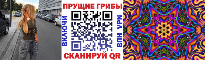 Псилоцибиновые грибы Psilocybine cubensis Нерчинск